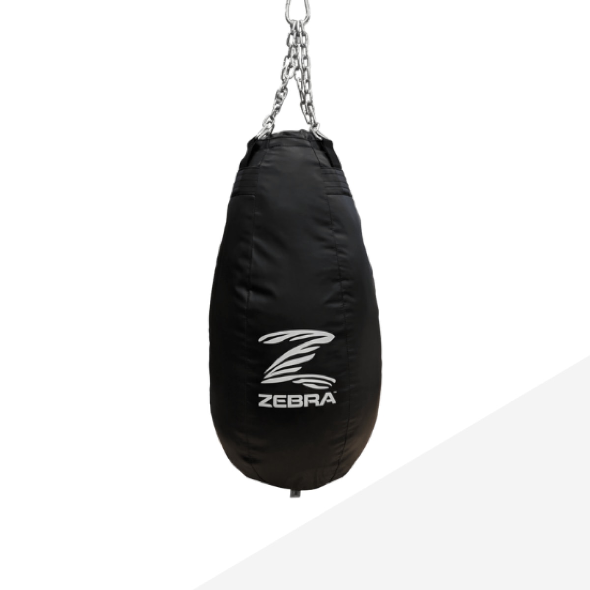 塊獣 Pachygrack パチグラック 塊獣 Pachygrack var.nofy variegata | PlantsMake